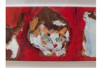 真作　久下貴史　「どこからどこまでフェデリコ」　限定39/50　サイン入り　猫の様々な表情に心が和むジクレー(Federico from End to End、版画、ジークレー、絵画、額装、額付き、外箱付き)(R-077927)