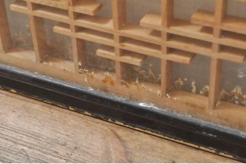 アンティーク建具　落ち着いた和の空間を演出する組子入りガラス欄間2枚セット(明り取り、明かり取り、組子欄間、ランマ)(R-077986)