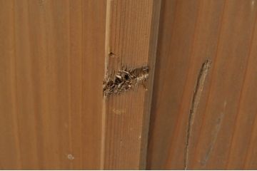 アンティーク建具　時を経た風合いが味わい深い板戸1枚(木製扉)(R-077997)