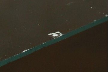 イギリスアンティーク　マホガニー材　品のある佇まいが魅力的な猫脚キャビネット　(R-078173)