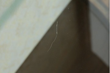 イギリスアンティーク　マホガニー材　品のある佇まいが魅力的な猫脚キャビネット　(R-078173)