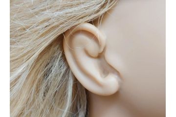 ドイツ GOTZ(ゴッツ)社製　ASHLEY　500体限定　150/500　約74cm　そばかすがチャーミングな人形(ドール、女の子、1999年、子供、子ども)(R-078246)