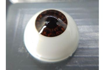 GLASTIC REALISTIC EYES　16mm　DARK BROWN/VIOLET　ドールアイ37セット(全75個)(ビスクドール、人形パーツ、グラスアイ、ガラス、目玉、瞳、創作、ハンドメイド)(R-078250)