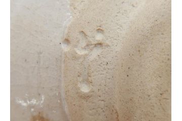 加藤光右衛門　織部　約13cm　4.1寸　柔らかな風合いを感じる抹茶碗(美濃、植物、茶道具、茶陶、四寸一分、和食器、共布、共箱付き)(R-078251)