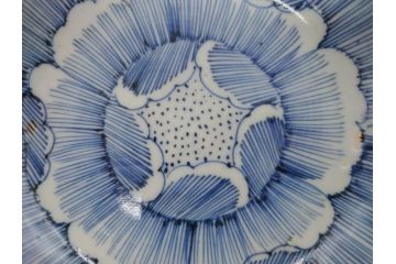 江戸後期　伊万里　線描き　約14cm　4.5寸　上品な大輪の牡丹が目を引くなます皿2枚セット(花、小皿、和皿、四寸五分、和食器)(R-078252)