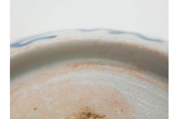 江戸後期　伊万里　線描き　約14cm　4.5寸　上品な大輪の牡丹が目を引くなます皿2枚セット(花、小皿、和皿、四寸五分、和食器)(R-078253)