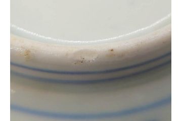 江戸後期　古伊万里　成化年製　微塵唐草文染付　約11cm　3.5寸　繊細な線描きが見事な小皿5枚セット(みじんからくさ、和皿、和食器、三寸五分)(R-078341)