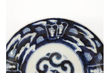 江戸期　古伊万里　染付　蛇文　約17cm　5.5寸　蛇のデザインが印象的な中皿2枚セット(雲龍、ヘビ、裏印、和皿、和食器、五寸五分)(R-078464)