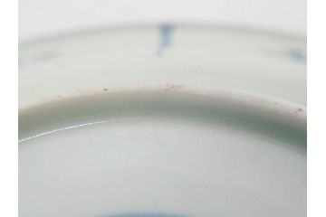 江戸期　古伊万里　染付　蛇文　約17cm　5.6寸　蛇のデザインが印象的な中皿3枚セット(雲龍、ヘビ、裏印、和皿、和食器、五寸六分)(R-078465)