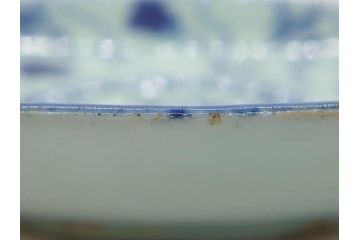 時代物　中国　唐物　古玩　古染付　青い染付のデザインが印象的な中皿4枚セット(皿、古器、食器、唐草、なます皿、中国美術)(R-078510)