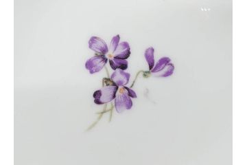 オールドノリタケ　NORITAKE　ヤジロベー印　可憐なスミレのデザインが可愛らしいボウル&プレート5枚セット(日本陶器會社、菫、花、フラワー、皿、深皿、中皿、なます皿、どんぶり、洋食器)(R-078514)