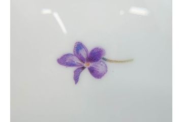 オールドノリタケ　NORITAKE　ヤジロベー印　可憐なスミレのデザインが可愛らしいボウル&プレート5枚セット(日本陶器會社、菫、花、フラワー、皿、深皿、中皿、なます皿、どんぶり、洋食器)(R-078514)