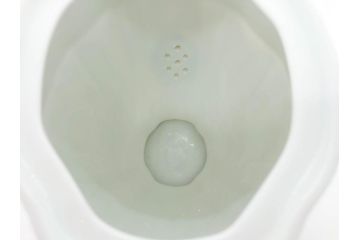 フランス　LIMOGES(リモージュ)　Georges Boyer(ジョルジュ ボワイエ)　バラの絵付けが上品なティーポット(薔薇、ローズ、磁器、金彩、洋食器)(R-078523)