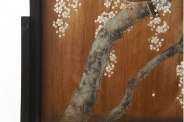 和製アンティーク　日本画　伊藤王作　木製　和の空間づくりにおすすめな桜が大胆に描かれた衝立(つい立て、衝い立て、パーテーション、仕切り)(R-078576)