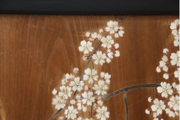 和製アンティーク　日本画　伊藤王作　木製　和の空間づくりにおすすめな桜が大胆に描かれた衝立(つい立て、衝い立て、パーテーション、仕切り)(R-078576)