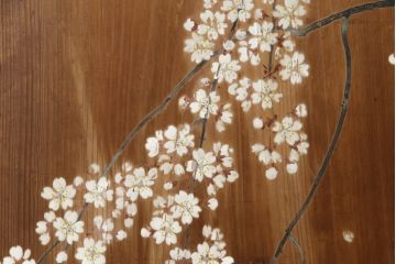 和製アンティーク　日本画　伊藤王作　木製　和の空間づくりにおすすめな桜が大胆に描かれた衝立(つい立て、衝い立て、パーテーション、仕切り)(R-078576)