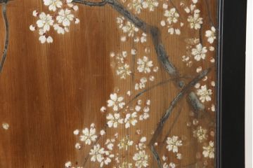和製アンティーク　日本画　伊藤王作　木製　和の空間づくりにおすすめな桜が大胆に描かれた衝立(つい立て、衝い立て、パーテーション、仕切り)(R-078576)