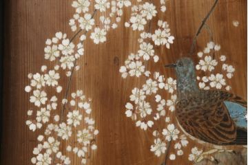 和製アンティーク　日本画　伊藤王作　木製　和の空間づくりにおすすめな桜が大胆に描かれた衝立(つい立て、衝い立て、パーテーション、仕切り)(R-078576)