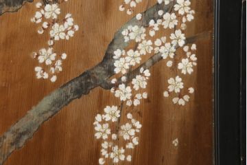 和製アンティーク　日本画　伊藤王作　木製　和の空間づくりにおすすめな桜が大胆に描かれた衝立(つい立て、衝い立て、パーテーション、仕切り)(R-078576)