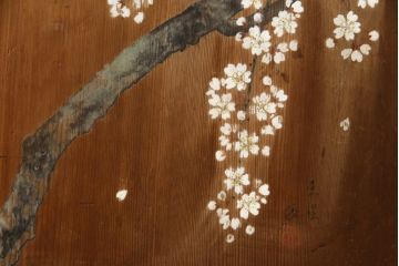 和製アンティーク　日本画　伊藤王作　木製　和の空間づくりにおすすめな桜が大胆に描かれた衝立(つい立て、衝い立て、パーテーション、仕切り)(R-078576)