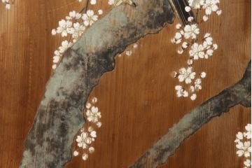 和製アンティーク　日本画　伊藤王作　木製　和の空間づくりにおすすめな桜が大胆に描かれた衝立(つい立て、衝い立て、パーテーション、仕切り)(R-078576)