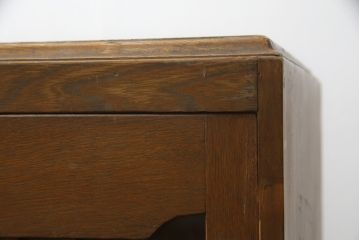 和製アンティーク　栓材　扉のデザインがお洒落な本箱(ブックケース、サイドキャビネット、収納棚、戸棚)(R-078621)
