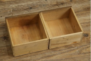 和製アンティーク　栓材　扉のデザインがお洒落な本箱　(R-078621)