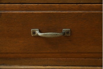 和製アンティーク　栓材　扉のデザインがお洒落な本箱　(R-078621)