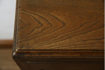 和製アンティーク　栓材　扉のデザインがお洒落な本箱　(R-078621)