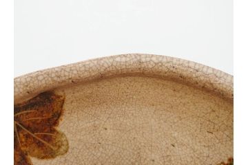 時代物　乾山銘　茶碗　約22cm　7.2寸　瓢箪のデザインが目を引く菓子器(尾形乾山、お茶碗、茶陶、茶道具、直物、和食器、七寸二分、共箱付き)(R-078645)