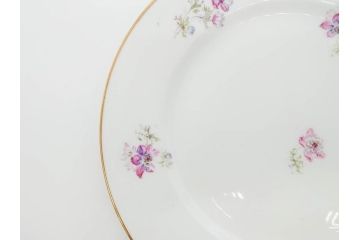 ビンテージ　フランス　PILLIVUYT(ピリヴィッツ)　MEHUN(メアン)　淡い色調で描かれた花のデザインが上品なプレート5枚セット(ピリヴュイ、花柄、フラワー、金彩、磁器、食器、皿、中皿、洋食器、ヴィンテージ)(R-078687)