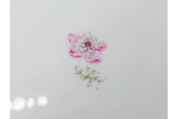 ビンテージ　フランス　PILLIVUYT(ピリヴィッツ)　MEHUN(メアン)　淡い色調で描かれた花のデザインが上品なプレート5枚セット(ピリヴュイ、花柄、フラワー、金彩、磁器、食器、皿、中皿、洋食器、ヴィンテージ)(R-078687)