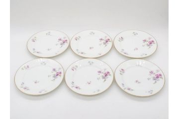 ビンテージ　フランス　PILLIVUYT(ピリヴィッツ)　MEHUN(メアン)　淡い色調で描かれた花のデザインが上品なプレート6枚セット(ピリヴュイ、花柄、フラワー、金彩、磁器、食器、皿、中皿、洋食器、ヴィンテージ)(R-078688)