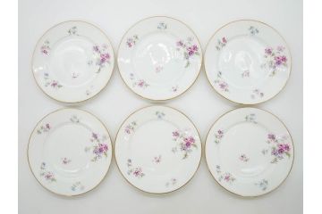 ビンテージ　フランス　PILLIVUYT(ピリヴィッツ)　MEHUN(メアン)　淡い色調で描かれた花のデザインが上品なプレート6枚セット(ピリヴュイ、花柄、フラワー、金彩、磁器、食器、皿、中皿、洋食器、ヴィンテージ)(R-078688)