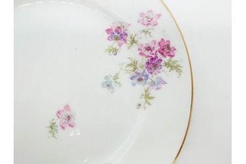 ビンテージ　フランス　PILLIVUYT(ピリヴィッツ)　MEHUN(メアン)　淡い色調で描かれた花のデザインが上品なプレート6枚セット(ピリヴュイ、花柄、フラワー、金彩、磁器、食器、皿、中皿、洋食器、ヴィンテージ)(R-078688)