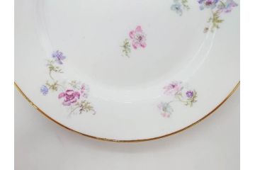 ビンテージ　フランス　PILLIVUYT(ピリヴィッツ)　MEHUN(メアン)　淡い色調で描かれた花のデザインが上品なプレート6枚セット(ピリヴュイ、花柄、フラワー、金彩、磁器、食器、皿、中皿、洋食器、ヴィンテージ)(R-078688)