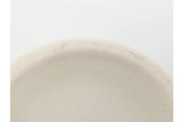 ビンテージ　フランス　GIEN(ジアン)　ブルーローズがエレガントなカップ&ソーサー6客セット(ヴィンテージ、C&S、磁器、バラ、薔薇、洋食器)(R-078692)