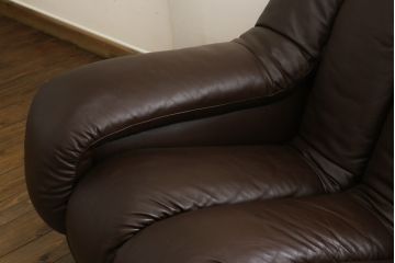中古　デセデ(de Sede)　本革(レザー)　22連　お好みに合わせて自在にレイアウトできるスネークソファ(22ピース、店舗什器)(定価約800万円以上)(R-078743)