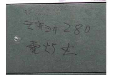 真作　小栗潮　「カーネション」　日本画　10号　絵画(カーネーション、共シール、額装、花、落款印、肉筆)(R-078754)