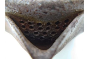 小西陶古　備前焼　霊芝摘み　蓋の取っ手の細かい装飾が印象的な宝瓶(茶道具、茶器、湯冷まし、煎茶道具、急須、和食器、共箱付き、裏印)(R-078756)