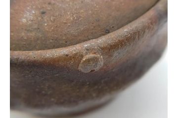 小西陶古　備前焼　霊芝摘み　蓋の取っ手の細かい装飾が印象的な宝瓶(茶道具、茶器、湯冷まし、煎茶道具、急須、和食器、共箱付き、裏印)(R-078756)