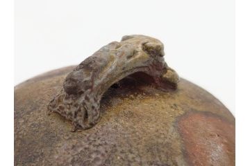 小西陶古　備前焼　霊芝摘み　蓋の取っ手の細かい装飾が印象的な宝瓶(茶道具、茶器、湯冷まし、煎茶道具、急須、和食器、共箱付き、裏印)(R-078756)