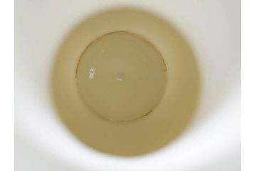十五代　永楽善五郎　京焼　白鷺酒次一対(2客)　シンプルで優美なフォルムをした徳利2点セット(茶道具、とっくり、酒器、水差し、水次、茶器、和食器、共箱付き、裏印)(R-078761)