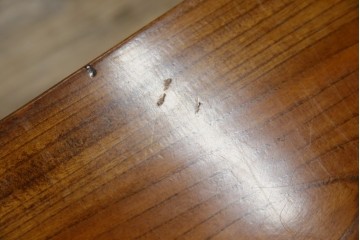 和製アンティーク　極厚天板　総欅(ケヤキ)材　木の風合いを生かしたシンプルなデザインの一枚板ベンチ　(R-078804)