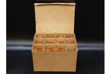 昭和レトロ　レモン　オレンジ　食卓に彩を与えるグラス11点セット(タンブラー、コップ、ガラス、硝子、二色、果物、箱付き、金彩)(R-078827)
