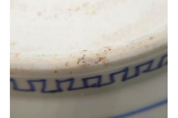 江戸期　古伊万里　染付　山水図　約26cm　8.6寸　器全体に描かれた細やかな色絵が見事な深鉢(大鉢、大皿、深皿、菊、藍草花文、和皿、和食器、八寸六分)(R-078832)