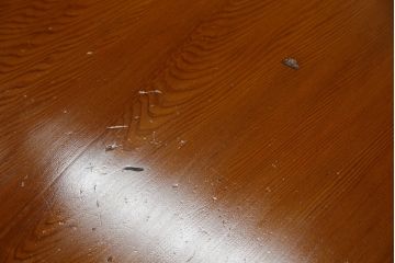 中古　屋久杉　自然な木の風合いが美しい存在感抜群のローテーブル(センターテーブル、リビングテーブル、座卓)(R-078874)