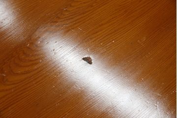 中古　屋久杉　自然な木の風合いが美しい存在感抜群のローテーブル(センターテーブル、リビングテーブル、座卓)(R-078874)