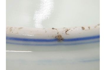 明治期　伊万里　染付　輪花型　約38cm　1尺2寸　丹念に絵付けされた花鳥や海老の図が見事な大皿(尺皿、陶器、エビ、海老、えび、風景、花鳥図、山水図、和食器、和皿、一尺二寸)(R-078890)