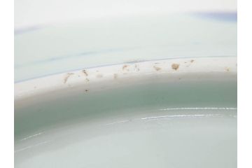 明治期　伊万里　染付　輪花型　約38cm　1尺2寸　丹念に絵付けされた花鳥や海老の図が見事な大皿(尺皿、陶器、エビ、海老、えび、風景、花鳥図、山水図、和食器、和皿、一尺二寸)(R-078890)